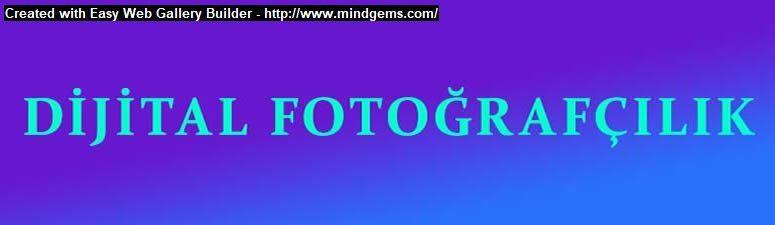 Photo Album Creation