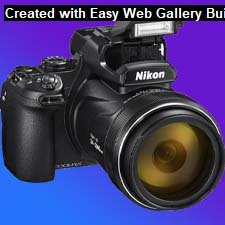 Online Photo Gallery